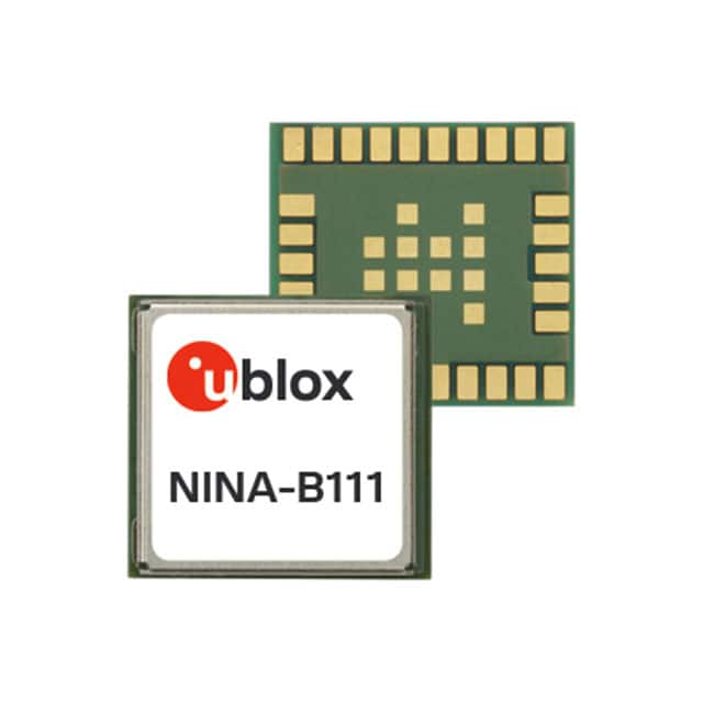 NINA-B111-01B-00-image